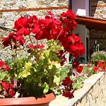 Guest house Prav Kamen Dolno Dryanovo