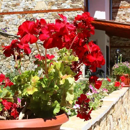 Guest house Prav Kamen Dolno Dryanovo