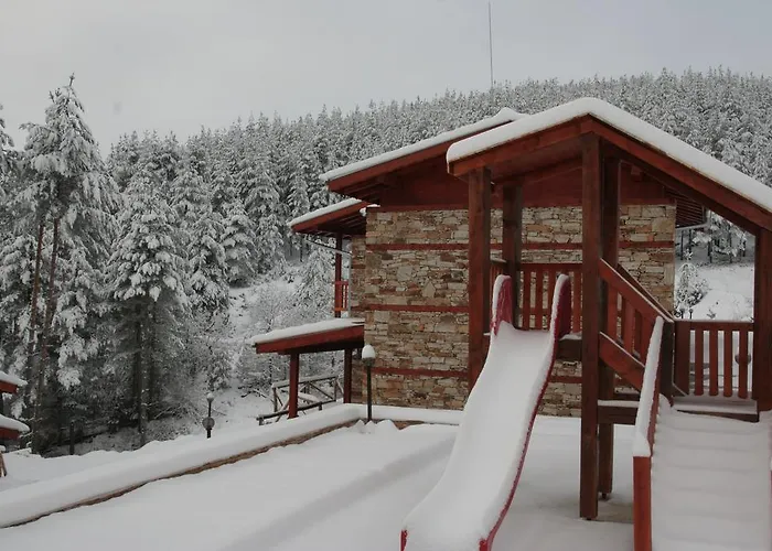 Prav Kamen Dolno Dryanovo