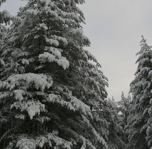 Gasthof Prav Kamen 3*